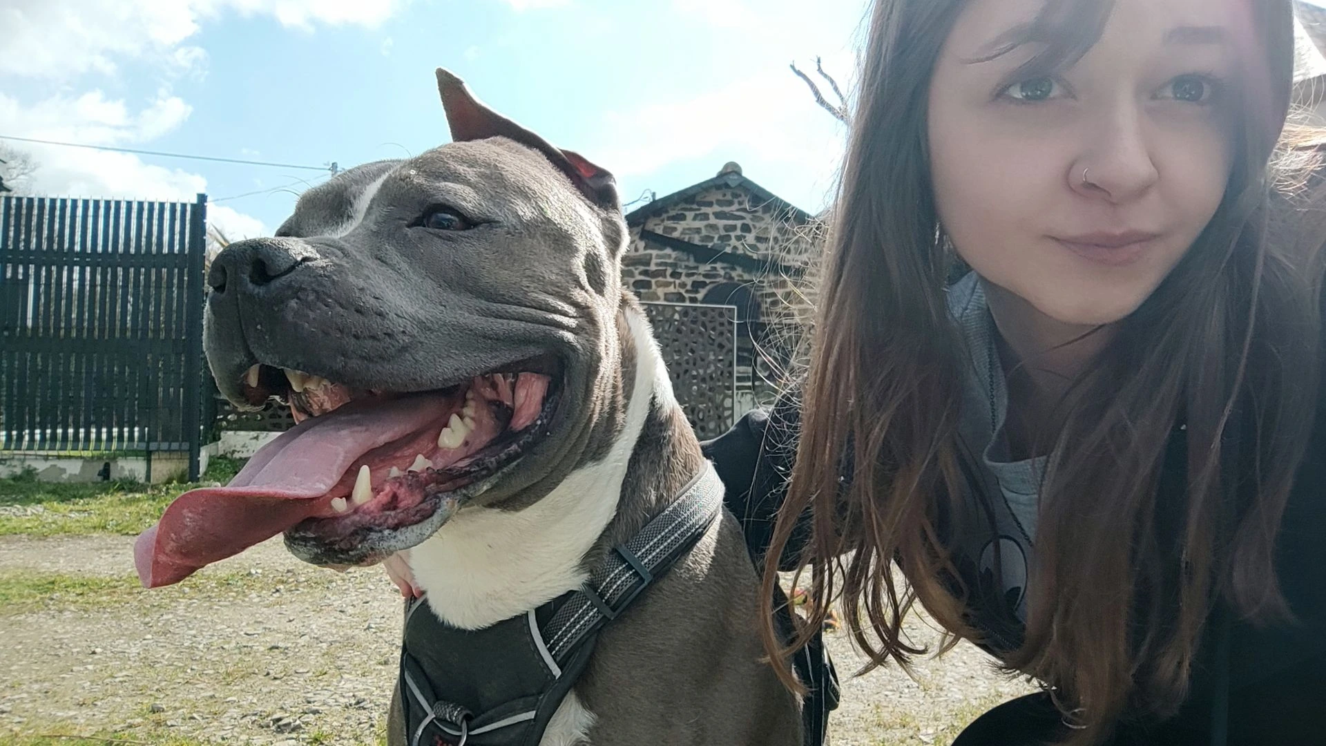 Ludivine en promenade avec un chien